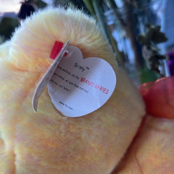 Ty Beanie Buddy - Sunny The Bear (13in) - Picture 2 of 6